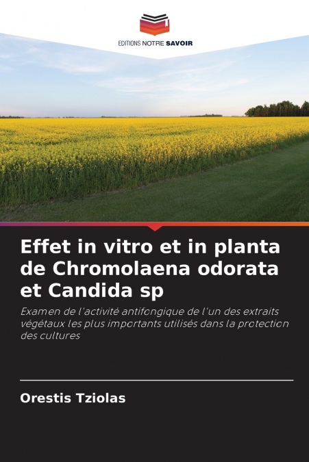 Effet in vitro et in planta de Chromolaena odorata et Candida sp