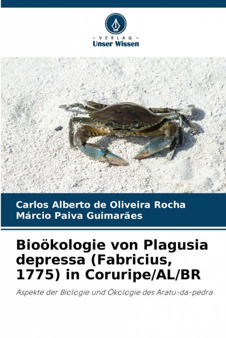 Bioökologie von Plagusia depressa (Fabricius, 1775) in Coruripe/AL/BR