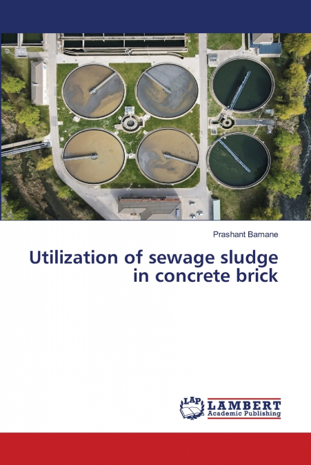 Utilization of sewage sludge in concrete brick