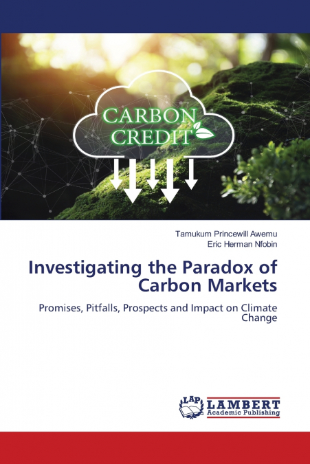 Investigating the Paradox of Carbon Markets