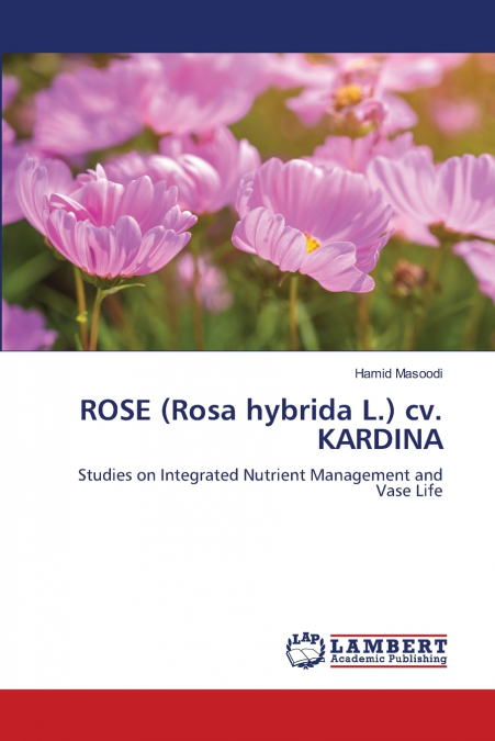ROSE (Rosa hybrida L.) cv. KARDINA
