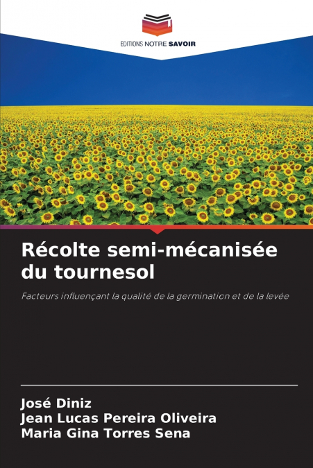 Récolte semi-mécanisée du tournesol