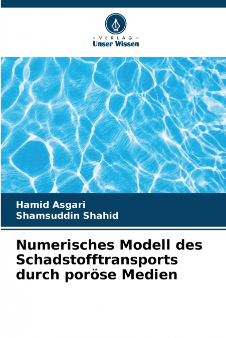 Numerisches Modell des Schadstofftransports durch poröse Medien