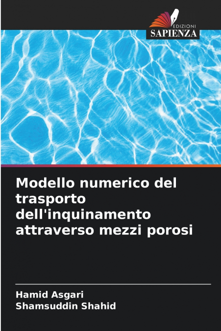 Modello numerico del trasporto dell’inquinamento attraverso mezzi porosi