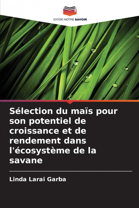 Sélection du maïs pour son potentiel de croissance et de rendement dans l’écosystème de la savane