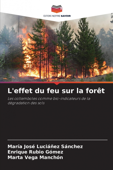 L’effet du feu sur la forêt