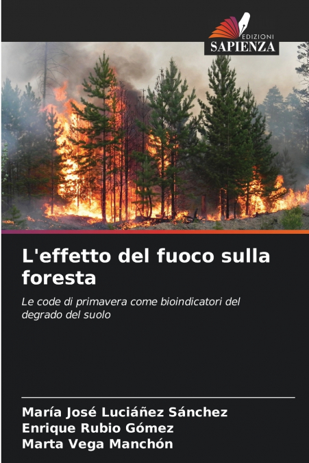 L’effetto del fuoco sulla foresta