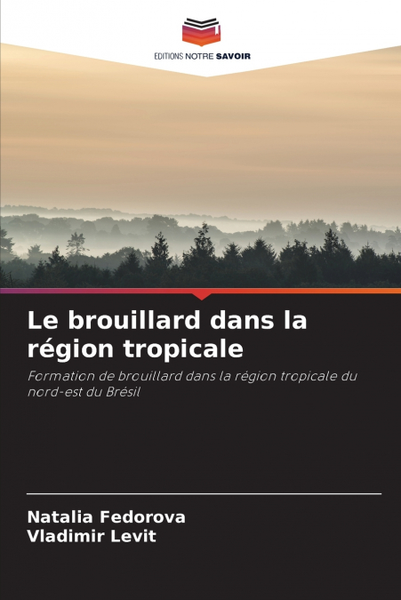 Le brouillard dans la région tropicale