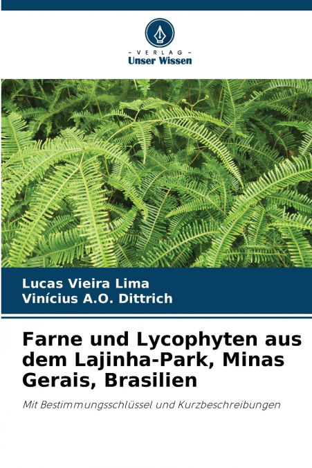 Farne und Lycophyten aus dem Lajinha-Park, Minas Gerais, Brasilien