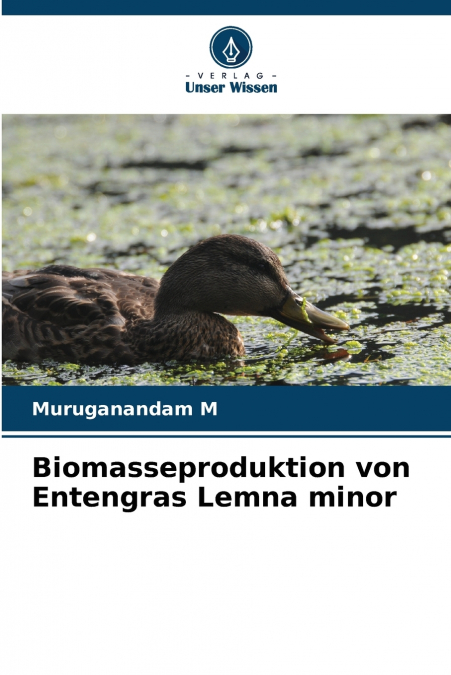 Biomasseproduktion von Entengras Lemna minor