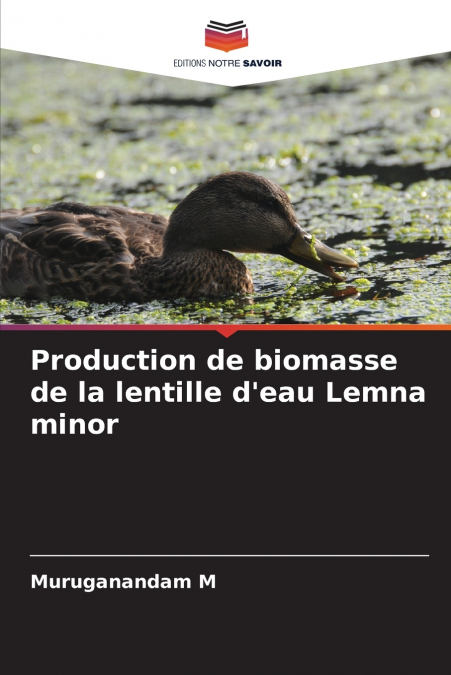 Production de biomasse de la lentille d’eau Lemna minor