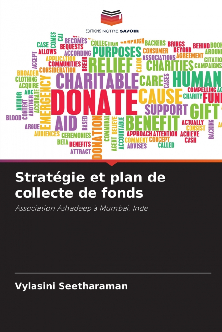 Stratégie et plan de collecte de fonds