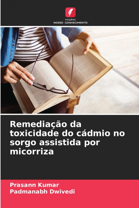 Remediação da toxicidade do cádmio no sorgo assistida por micorriza