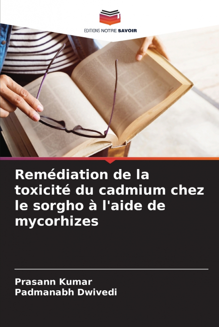Remédiation de la toxicité du cadmium chez le sorgho à l’aide de mycorhizes