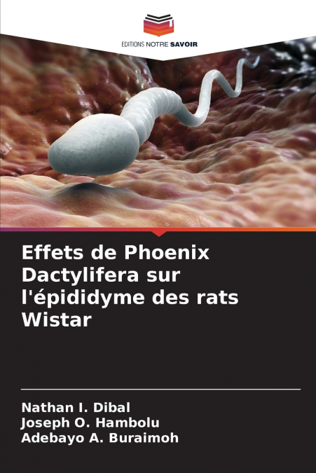 Effets de Phoenix Dactylifera sur l’épididyme des rats Wistar