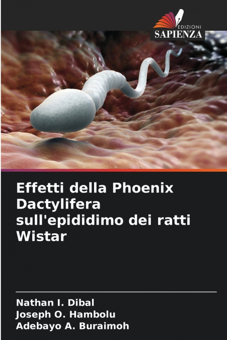 Effetti della Phoenix Dactylifera sull’epididimo dei ratti Wistar