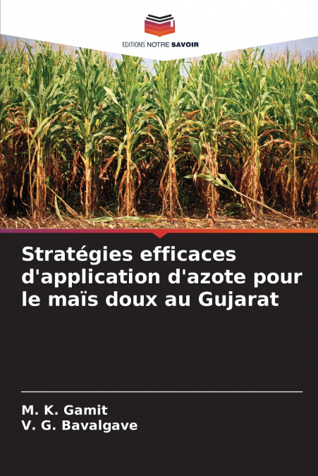 Stratégies efficaces d’application d’azote pour le maïs doux au Gujarat