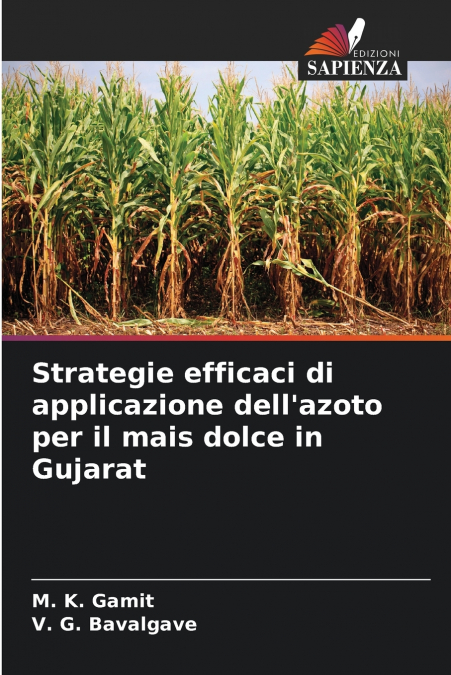 Strategie efficaci di applicazione dell’azoto per il mais dolce in Gujarat