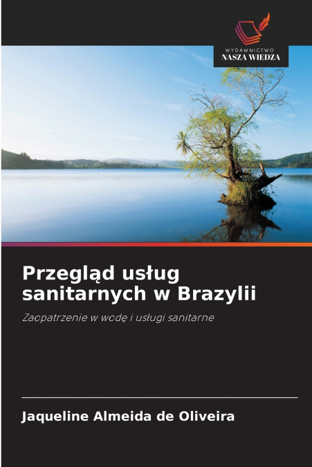 Przegląd usług sanitarnych w Brazylii