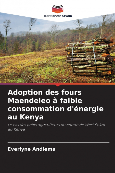 Adoption des fours Maendeleo à faible consommation d’énergie au Kenya