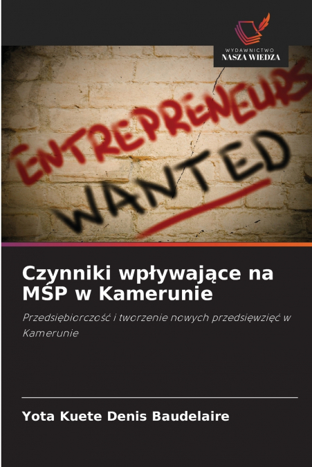 Czynniki wpływające na MŚP w Kamerunie