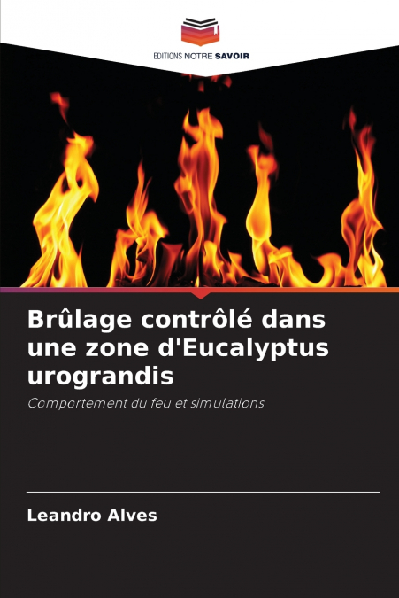 Brûlage contrôlé dans une zone d’Eucalyptus urograndis
