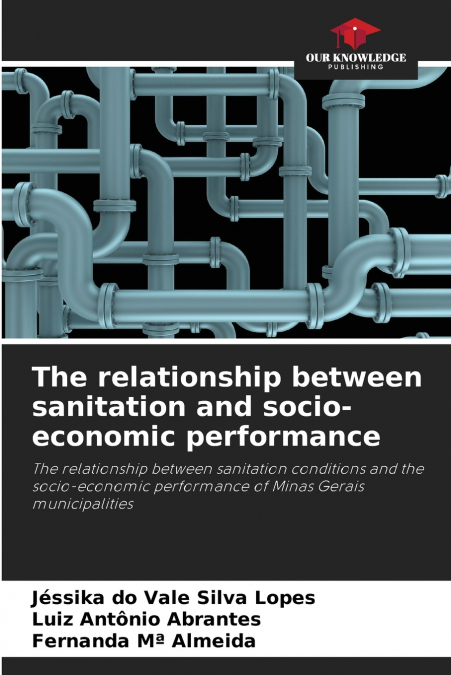 The relationship between sanitation and socio-economic performance