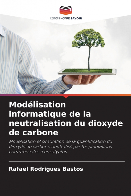 Modélisation informatique de la neutralisation du dioxyde de carbone