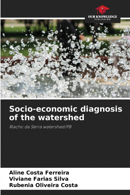 Socio-economic diagnosis of the watershed