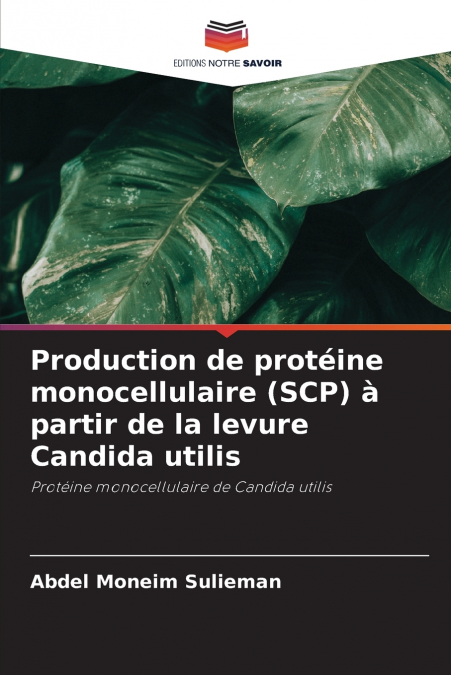 Production de protéine monocellulaire (SCP) à partir de la levure Candida utilis