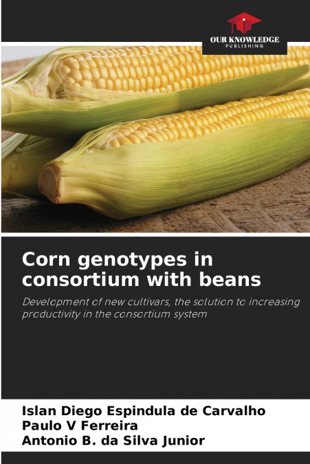 Corn genotypes in consortium with beans