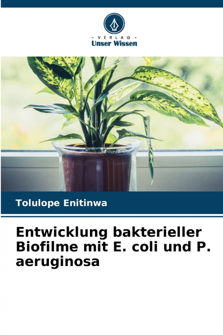 Entwicklung bakterieller Biofilme mit E. coli und P. aeruginosa