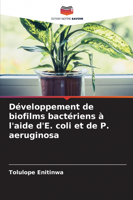 Développement de biofilms bactériens à l’aide d’E. coli et de P. aeruginosa