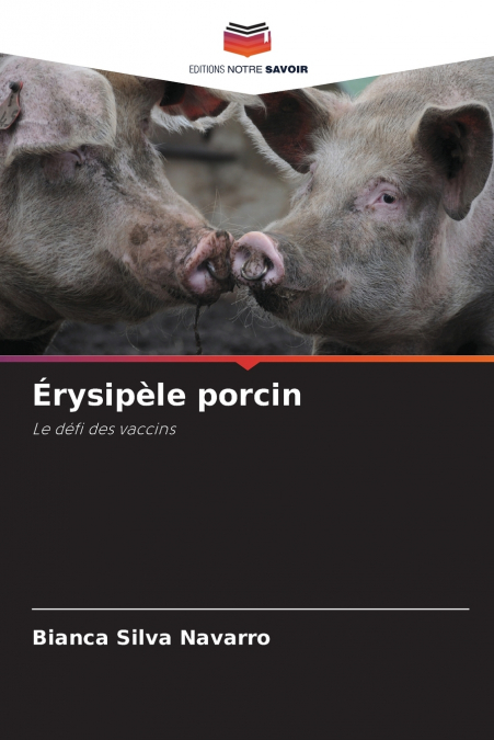 Érysipèle porcin
