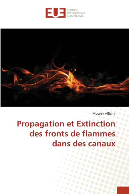 Propagation et Extinction des fronts de flammes dans des canaux