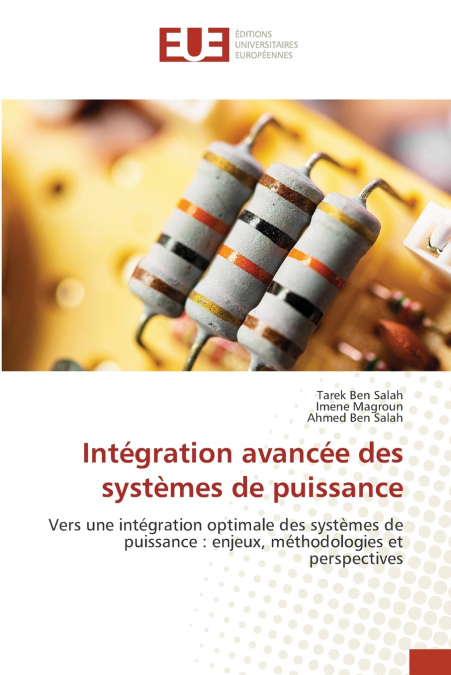 Intégration avancée des systèmes de puissance