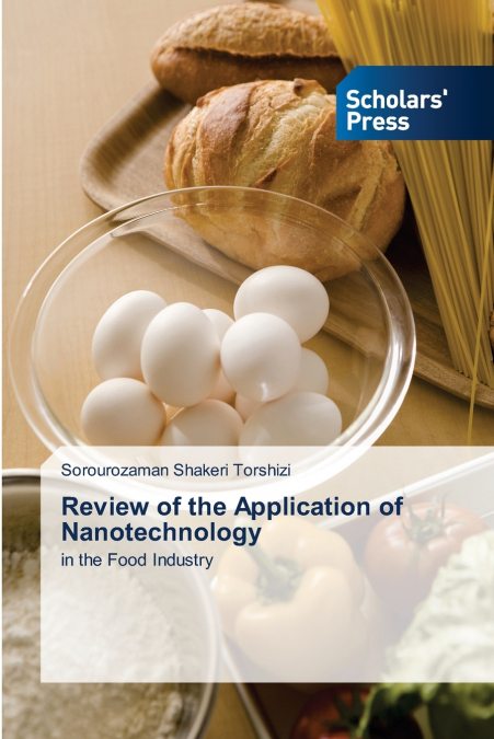 Review of the Application of Nanotechnology