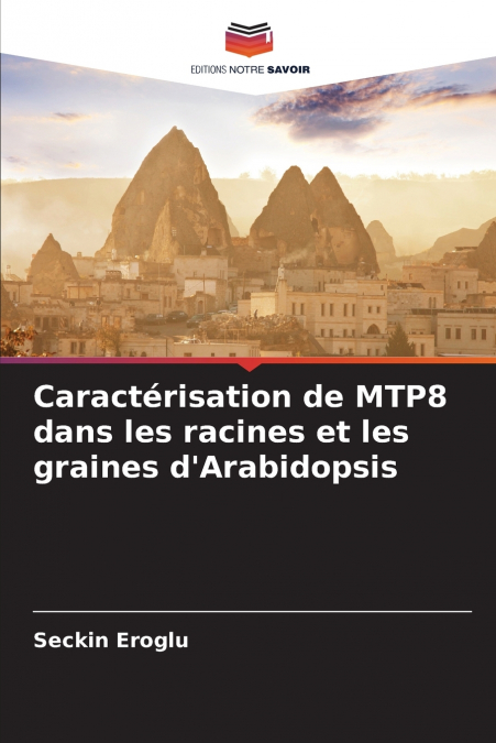 Caractérisation de MTP8 dans les racines et les graines d’Arabidopsis