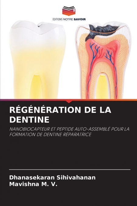 RÉGÉNÉRATION DE LA DENTINE