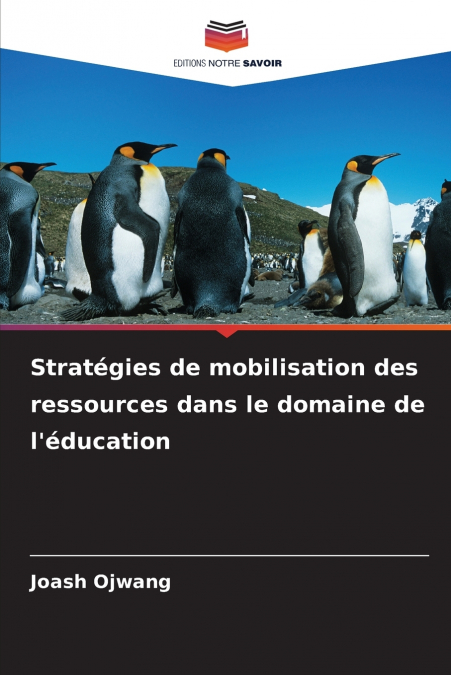 Stratégies de mobilisation des ressources dans le domaine de l’éducation
