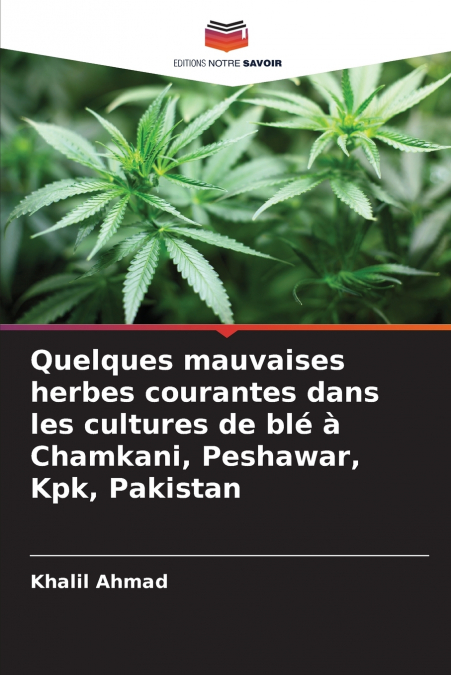 Quelques mauvaises herbes courantes dans les cultures de blé à Chamkani, Peshawar, Kpk, Pakistan