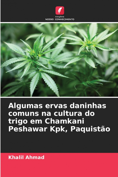 Algumas ervas daninhas comuns na cultura do trigo em Chamkani Peshawar Kpk, Paquistão
