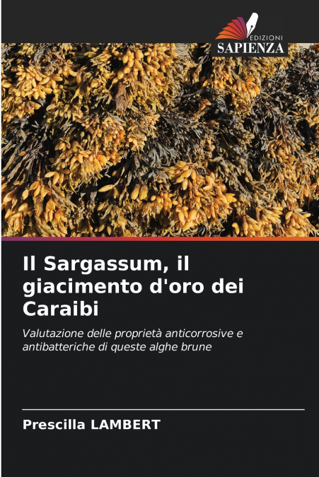 Il Sargassum, il giacimento d’oro dei Caraibi