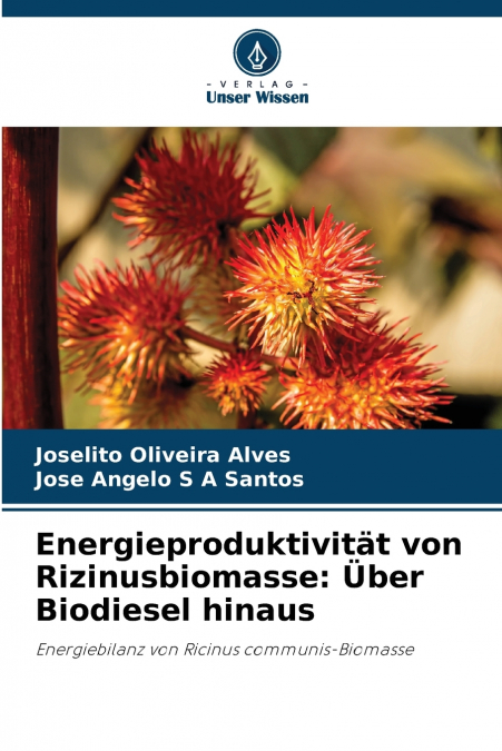 Energieproduktivität von Rizinusbiomasse