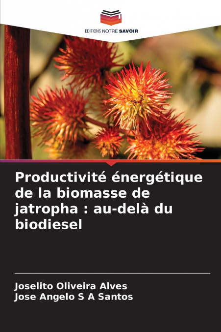 Productivité énergétique de la biomasse de jatropha
