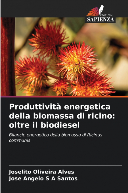 Produttività energetica della biomassa di ricino
