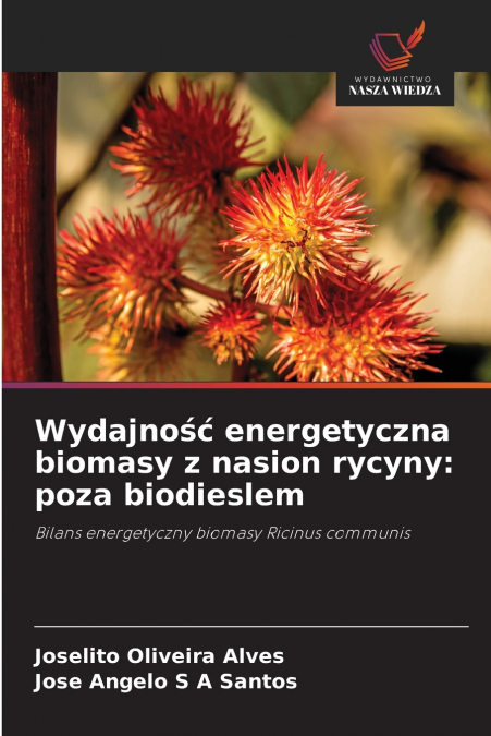 Wydajność energetyczna biomasy z nasion rycyny