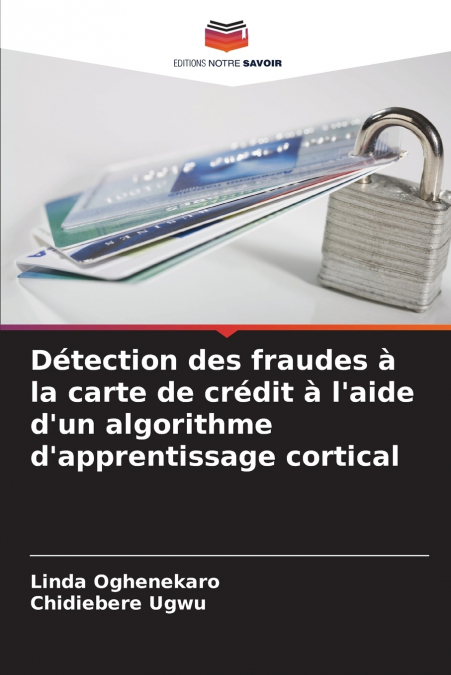 Détection des fraudes à la carte de crédit à l’aide d’un algorithme d’apprentissage cortical