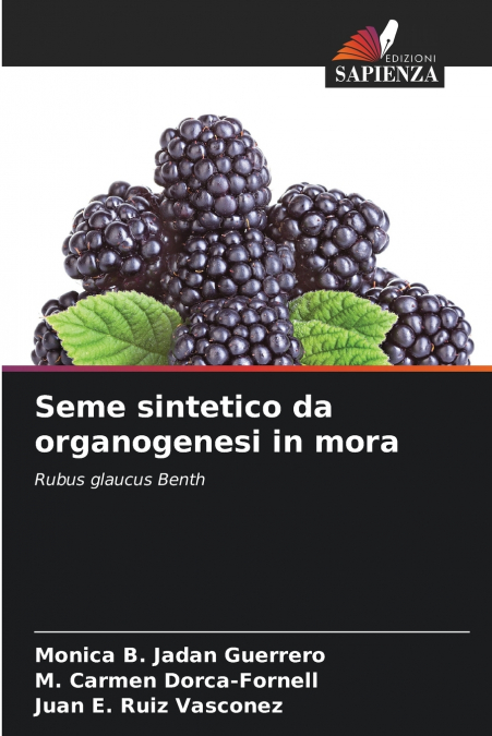 Seme sintetico da organogenesi in mora