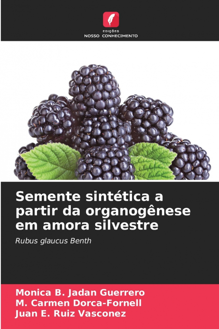 Semente sintética a partir da organogênese em amora silvestre